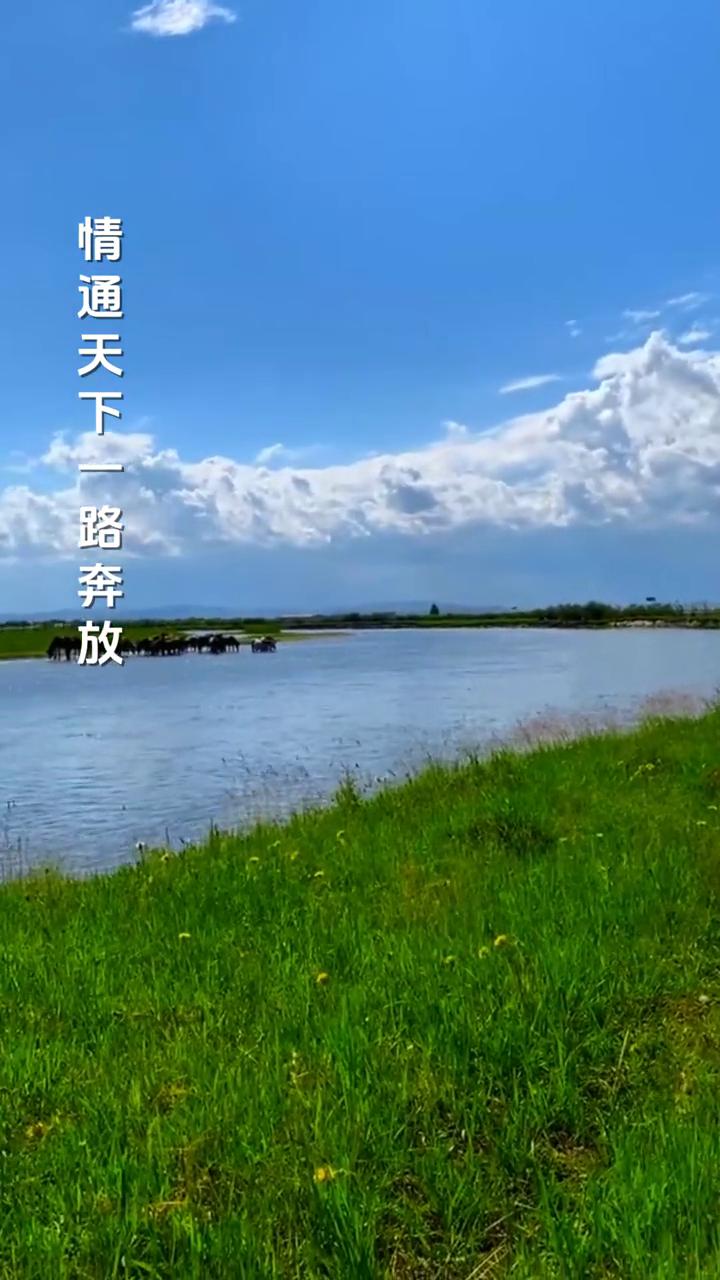 远情演唱。
演唱：张雅茜。
制片人：芙蓉传媒。
尘缘苦短叹人间路长，不能够容我细