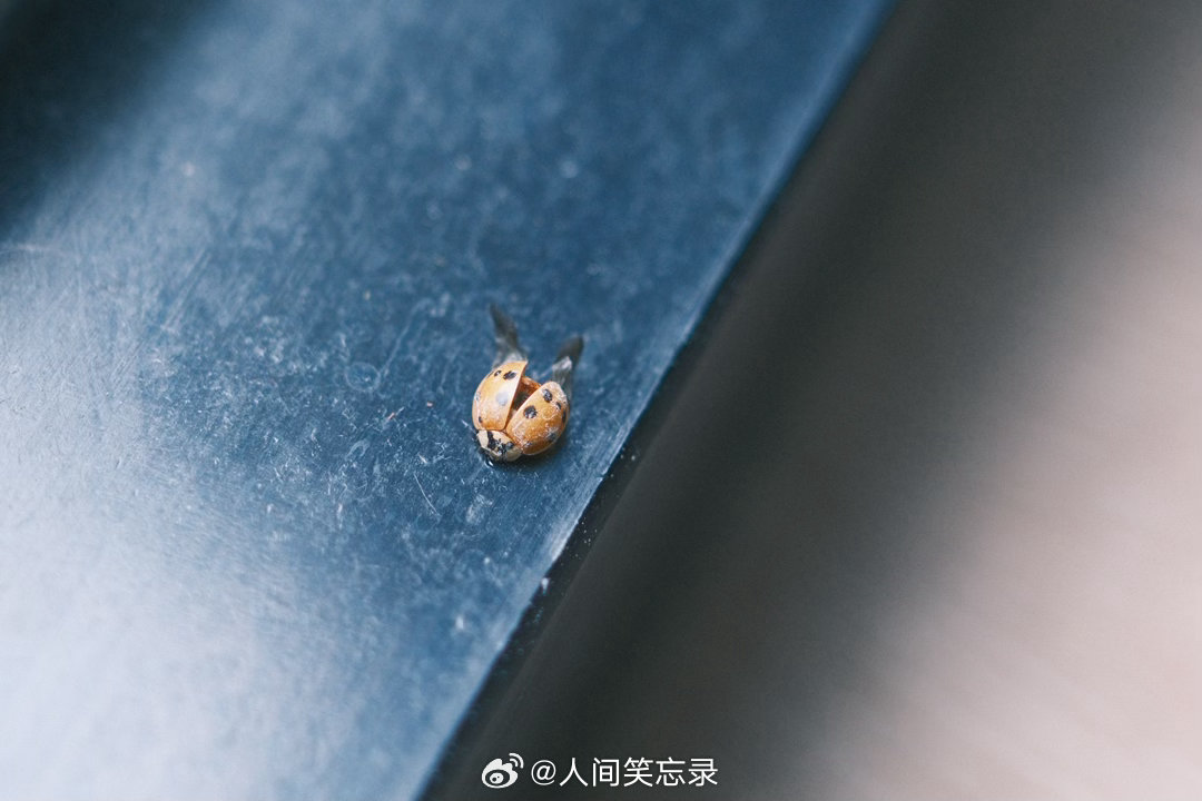 🎬人不要钱，鬼都怕。—— 电视剧《无悔追踪》 