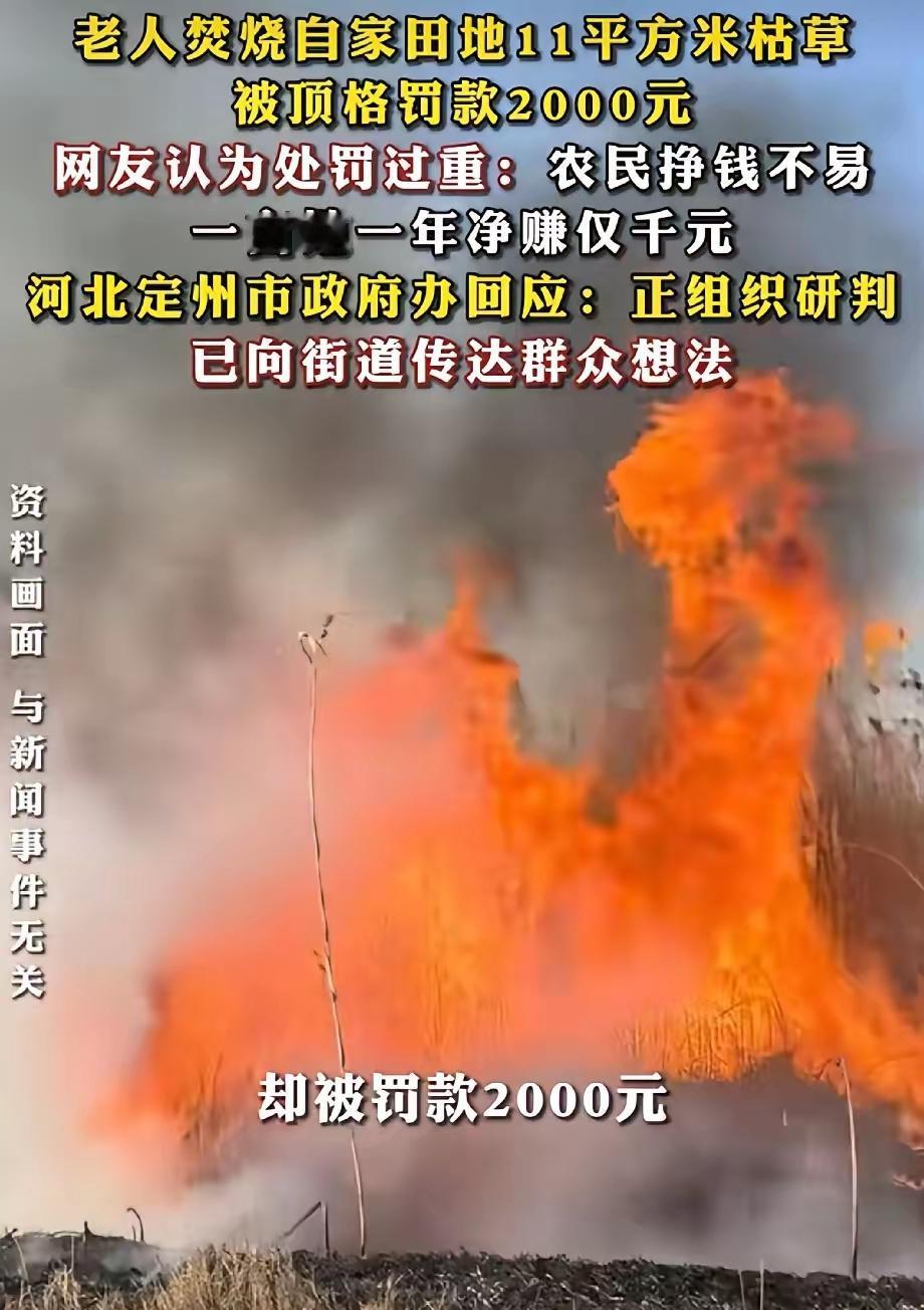 河北61岁老农烧11平米枯草，直接被罚2000顶格，全网吵翻了
 
谁也没想到，