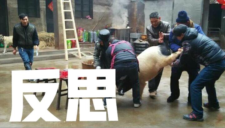 株洲杀猪宴落幕，这场闹剧最大的输家应该是株洲的城市形象受到了较大影响，即便退12