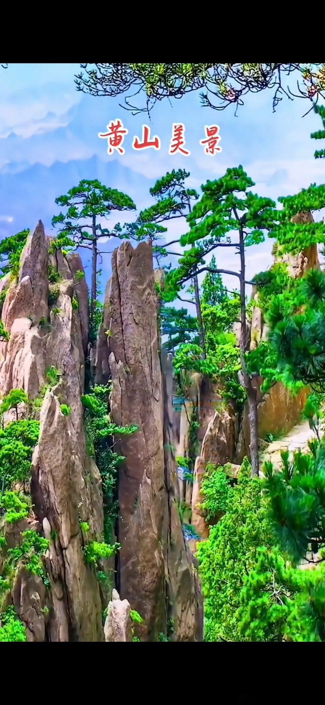 #情感# 原创——七绝·松柏万木萧森天守静，孤根屈曲地炉开。何人解作凌云笔，写出