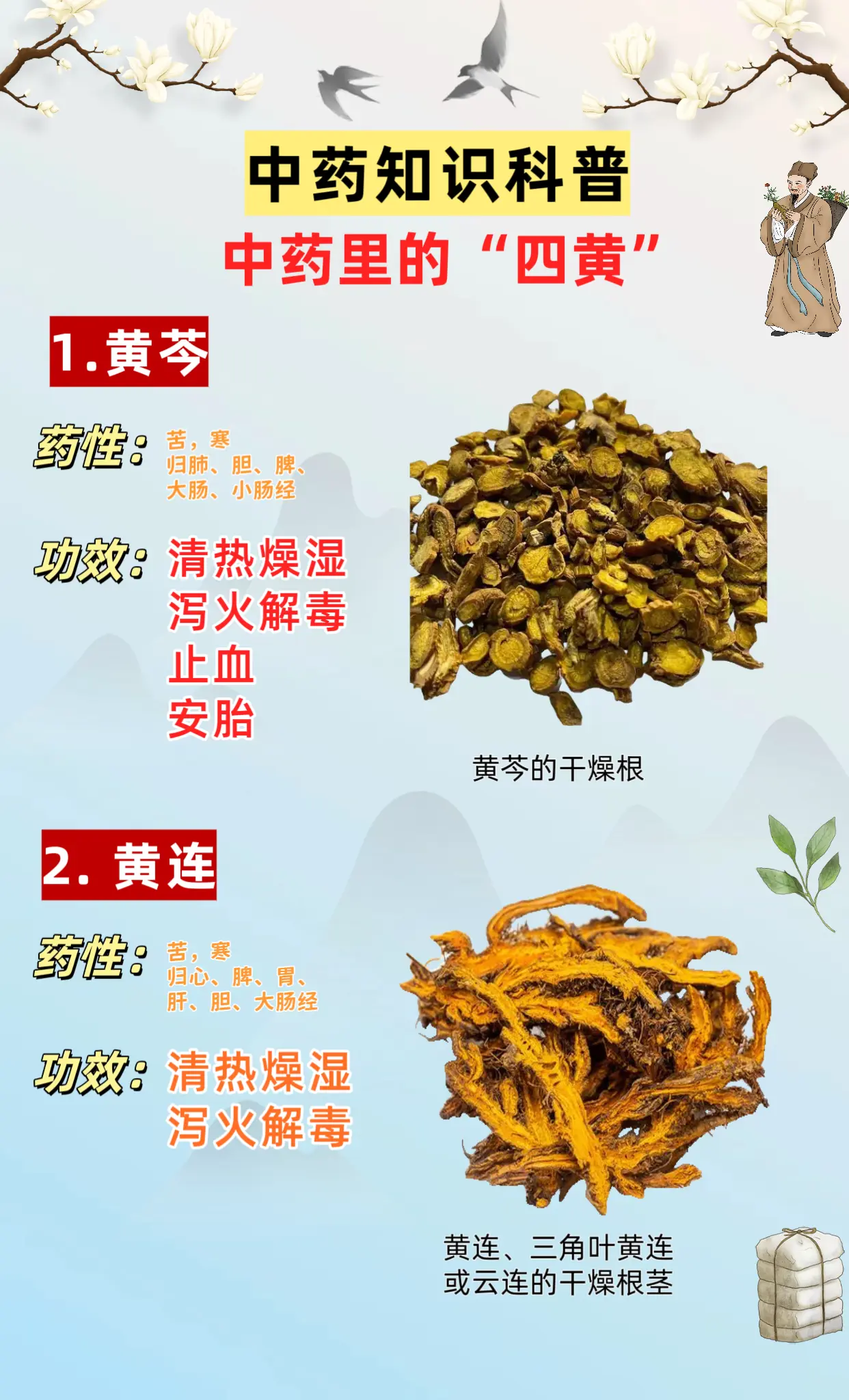中药里的“四黄”