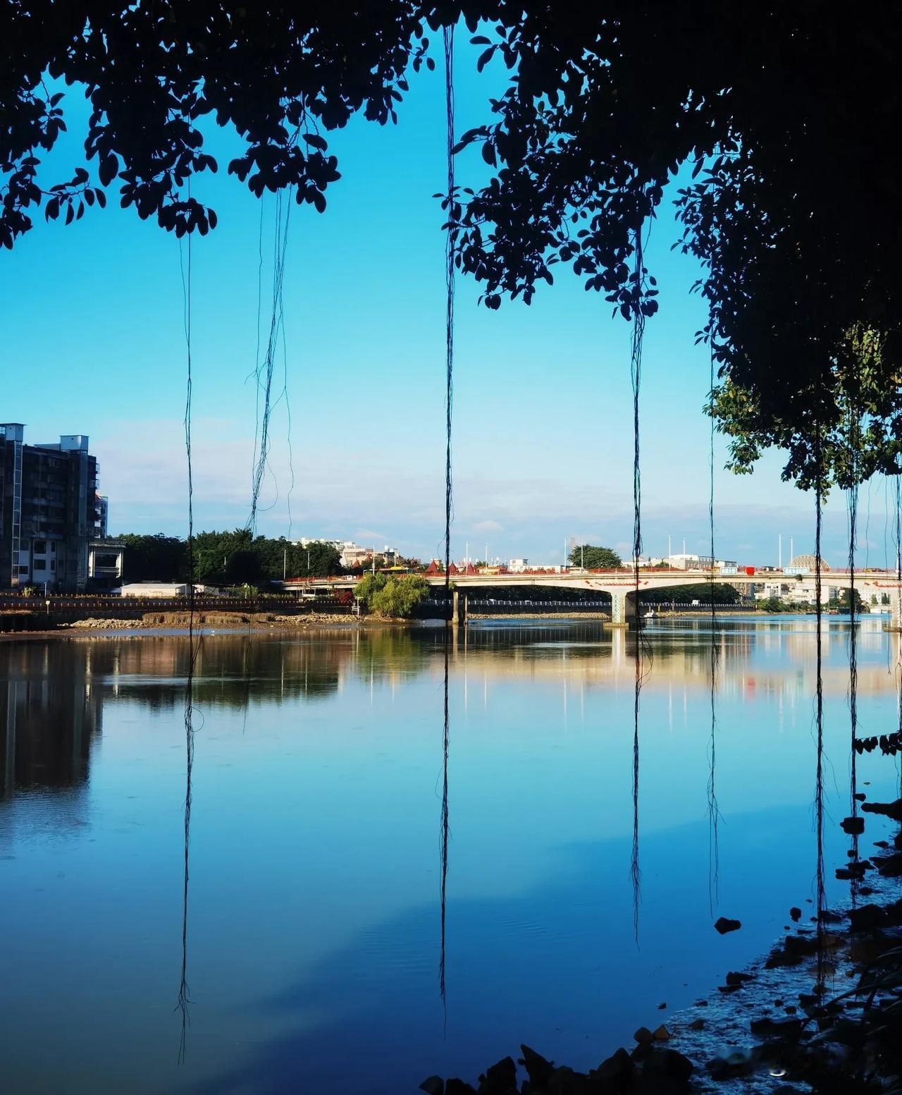 能否分享一下你拍摄的天空今天的阳光真好，蔚蓝的天空，万里无云，享受这一刻，广州想