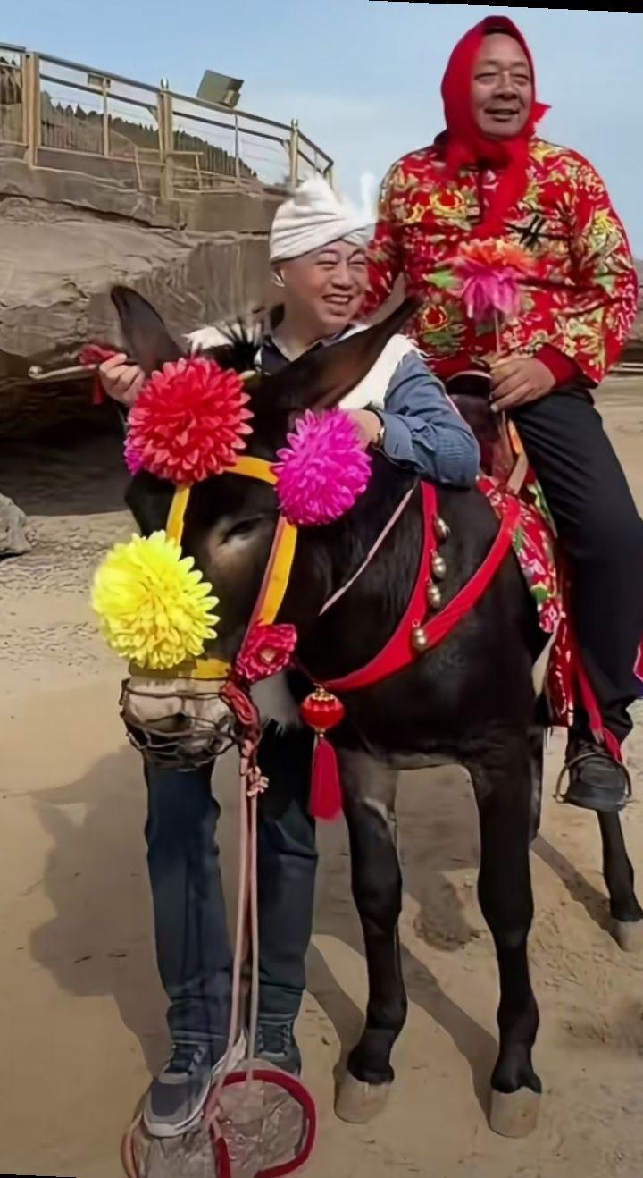 任尔东西南北风