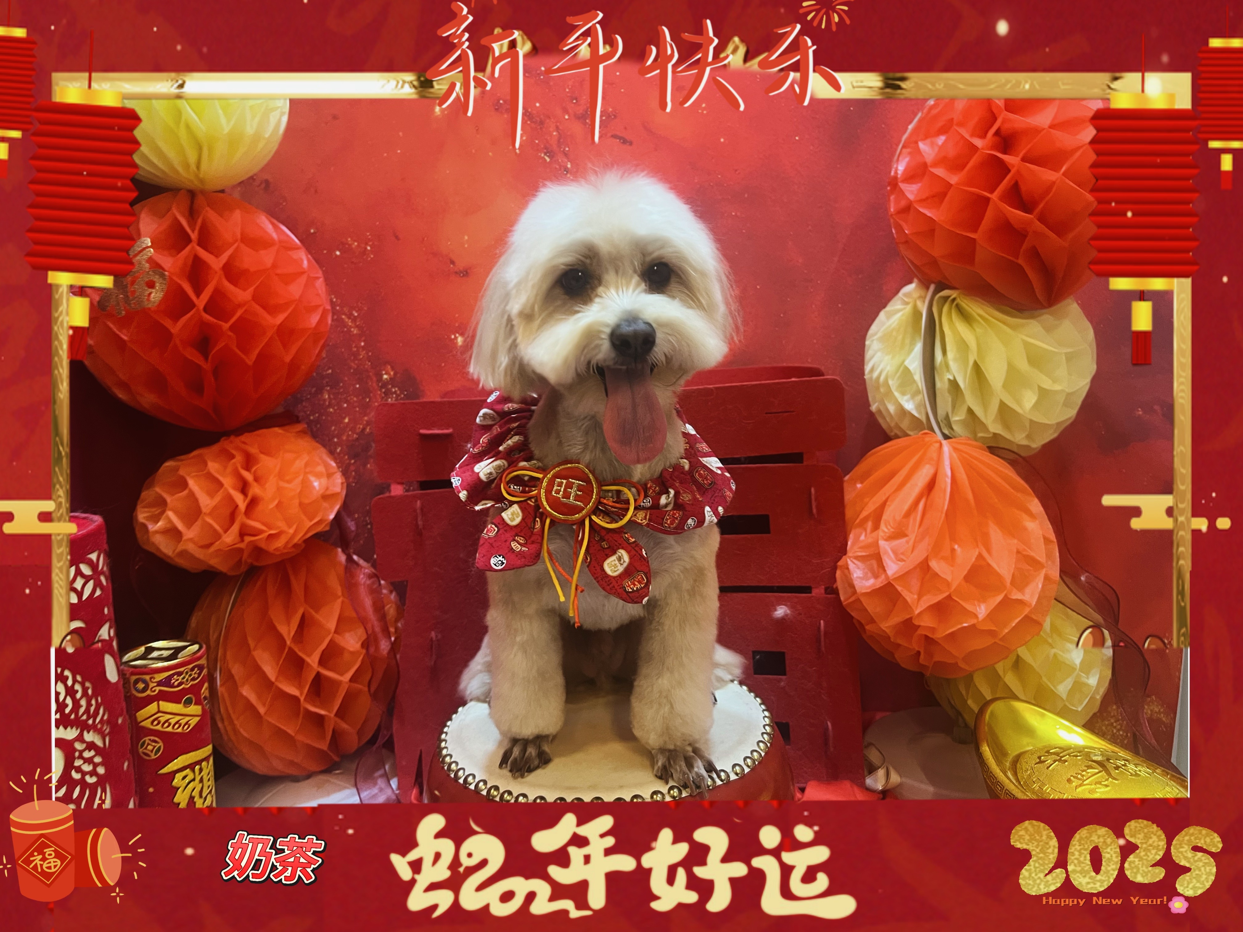 哪个小宝宝还没有个新年照了呢[舔屏] 