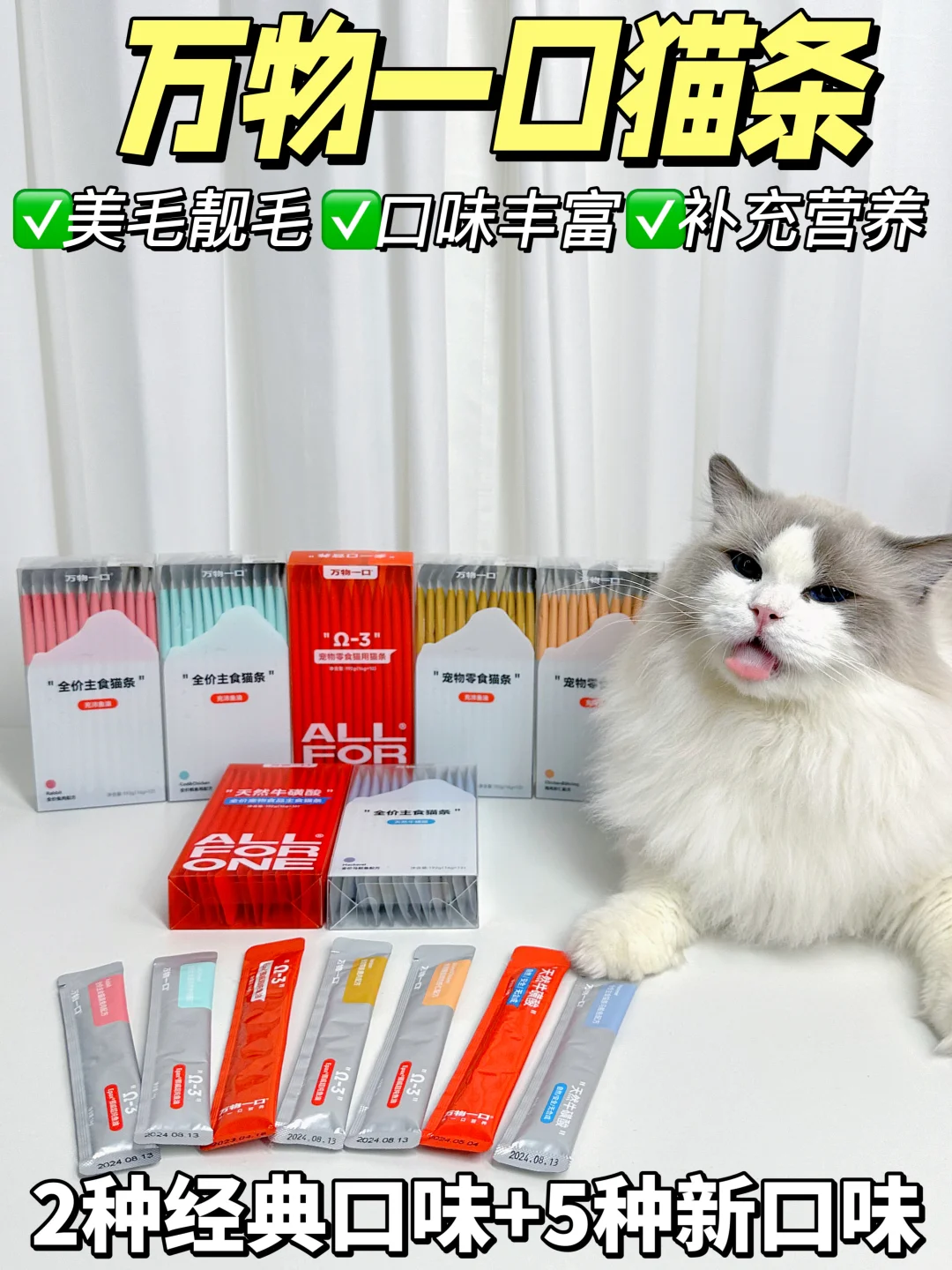 资深养猫人私藏店铺开箱！回购n次不踩雷～