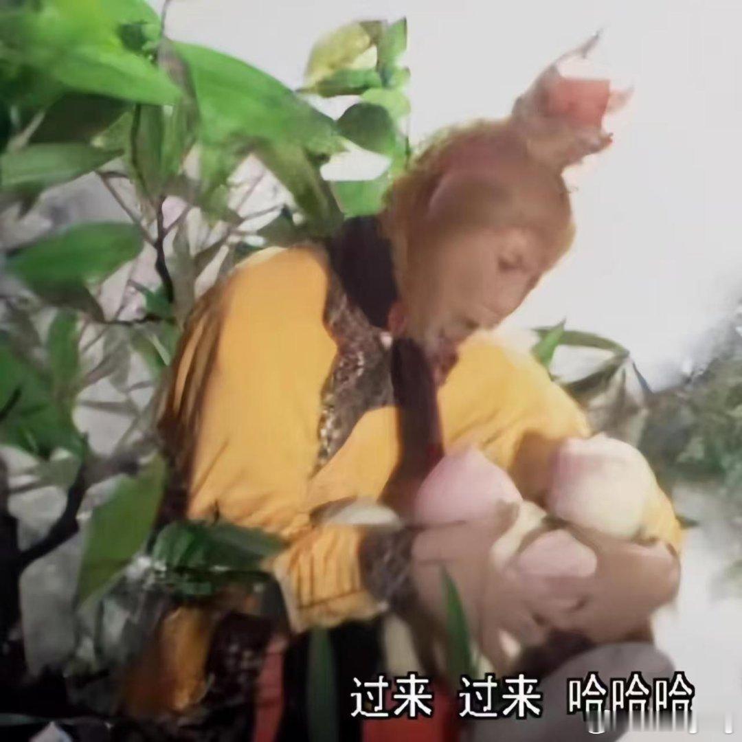 孙悟空是脆桃派还是软桃派 当年剧组条件有限，纸糊桃子只塞一小块真果肉，换谁都只能