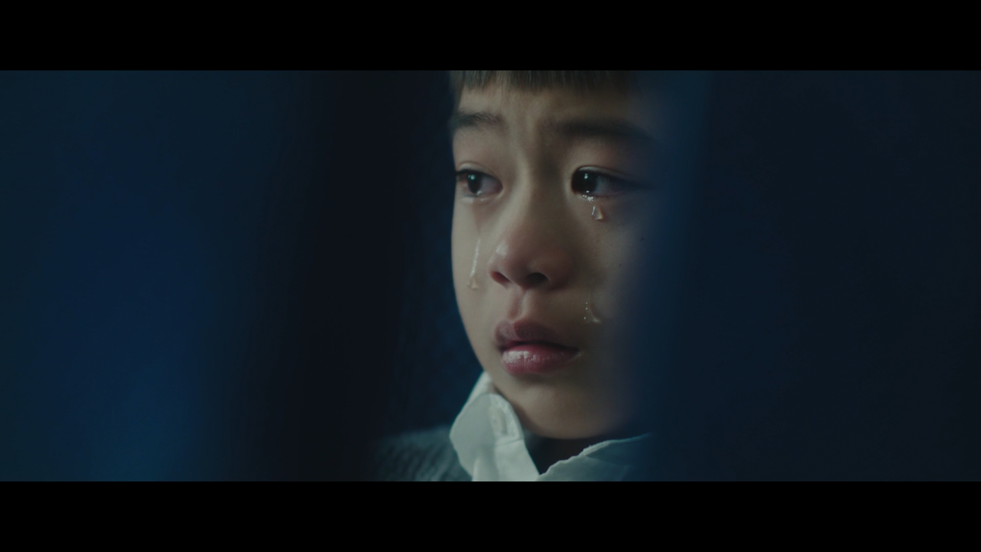 今日放映 🎥双喜 