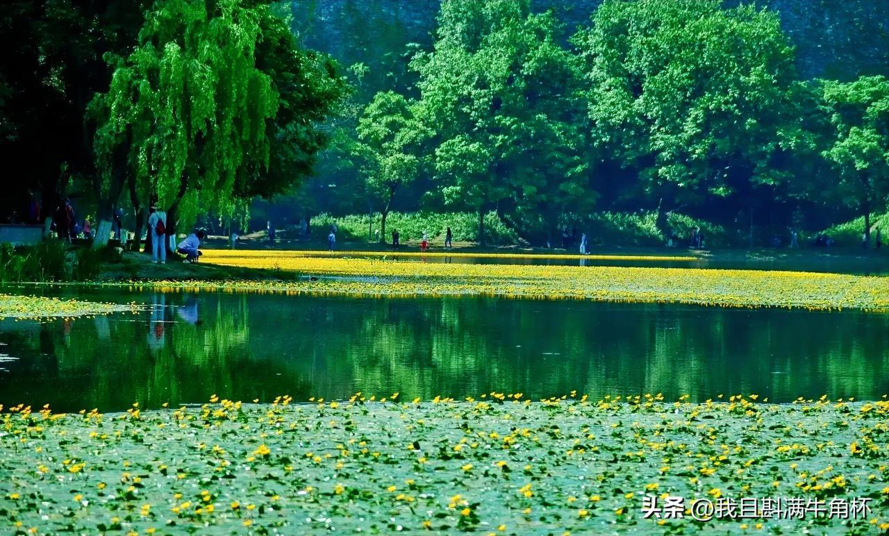 下联：波光细碎夏风柔
上联：有请雅士[玫瑰][玫瑰][玫瑰]