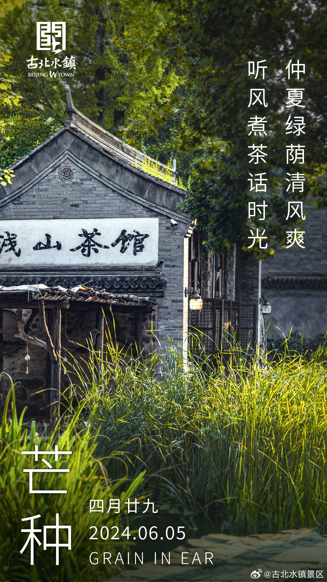 仲夏绿荫清风爽，听风煮茶话时光早安，宝子们~#古北水镇光之城# #出游正当时# 