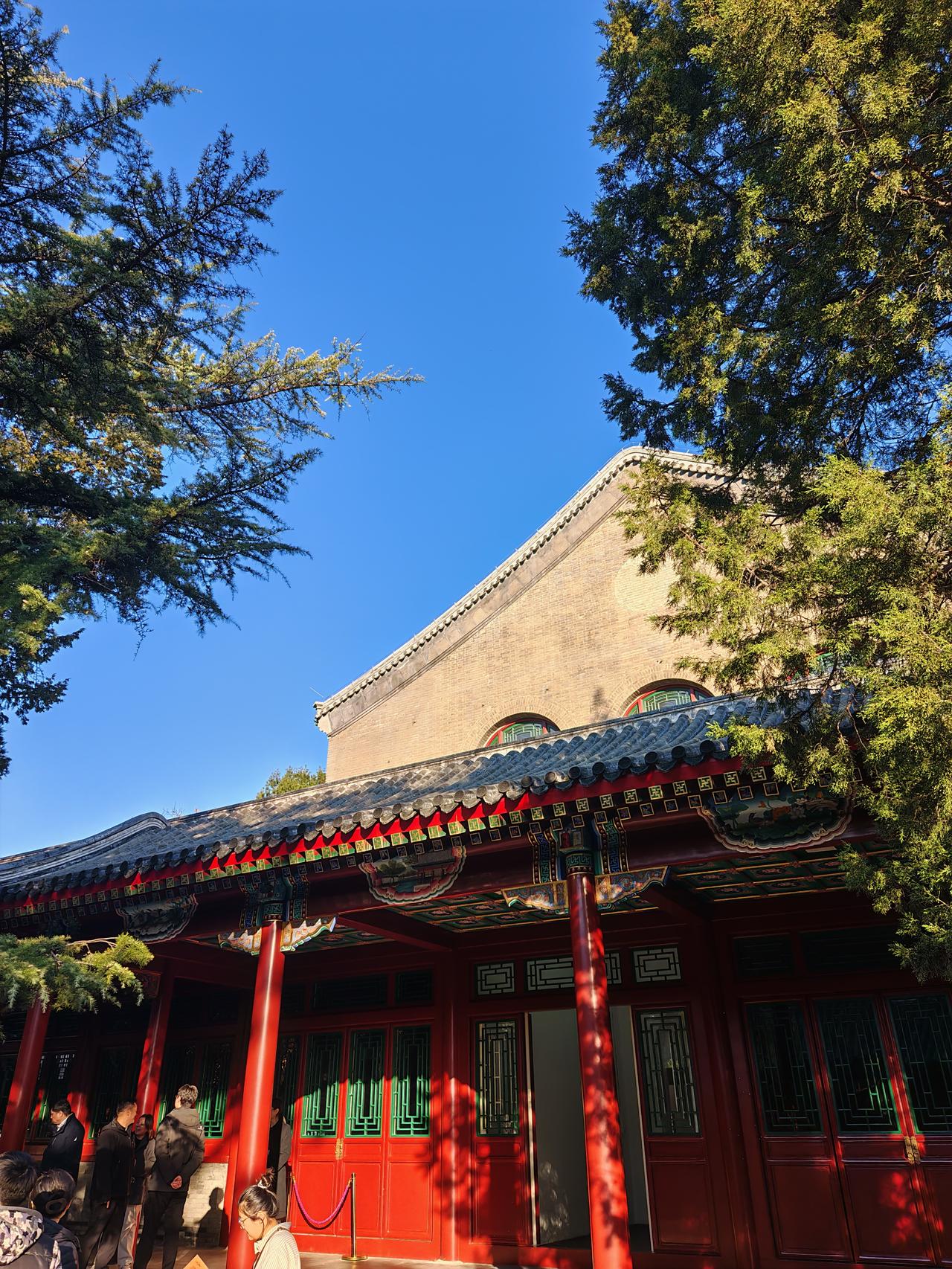 今天出门发现路边的梧桐叶都黄了，踩上去沙沙响。买了杯热拿铁，坐在公园长椅上晒太阳