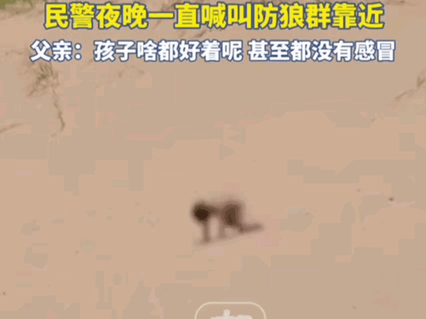 奇迹！海拔3200米戈壁沙漠，一对父母外出干活，把1岁多的儿子交给7岁多的姐姐照