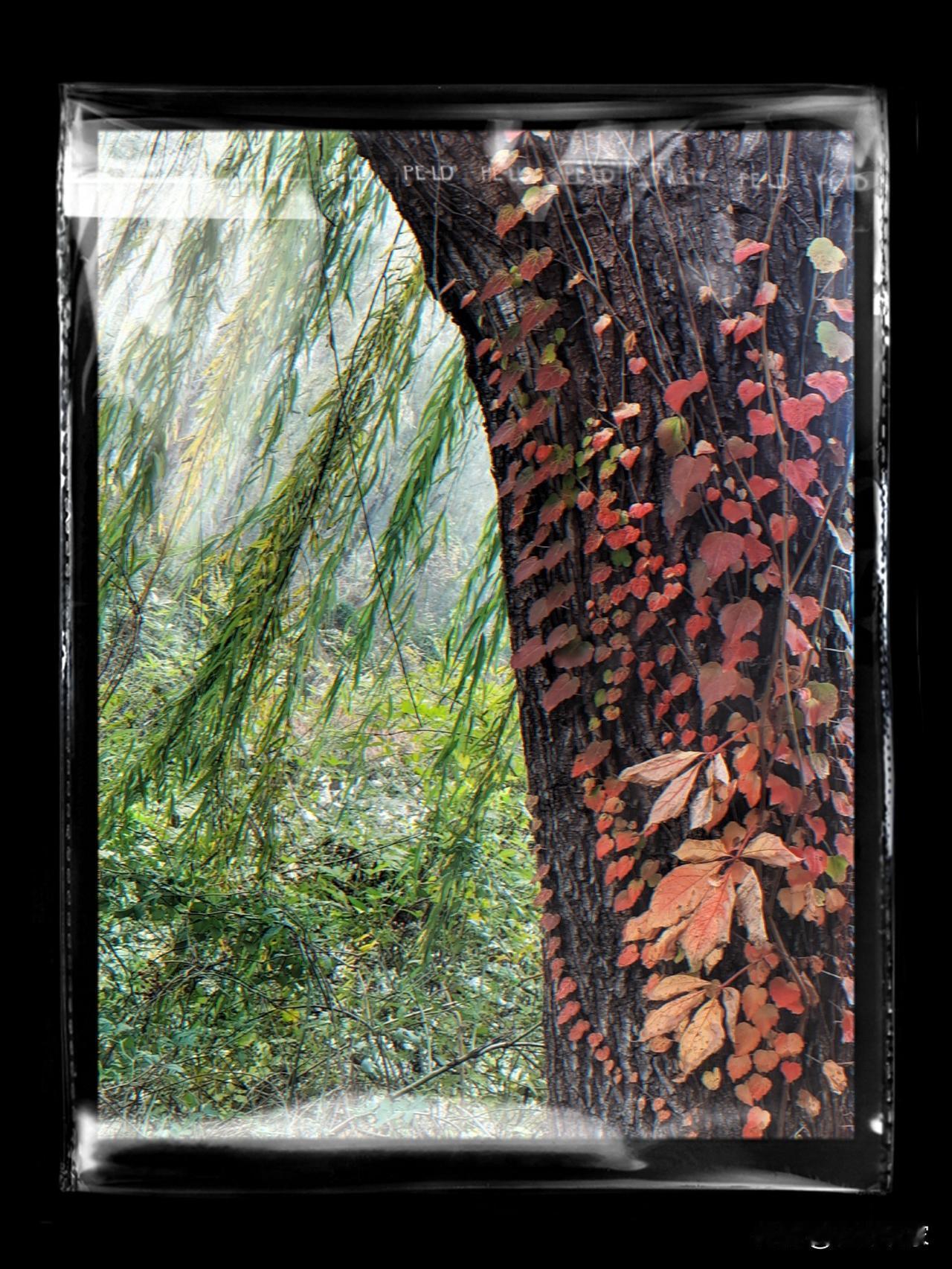 冬日生活打卡季