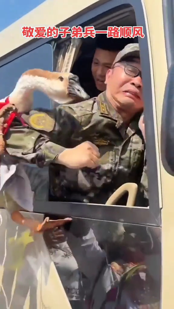 事实证明，兵哥也怕大鹅