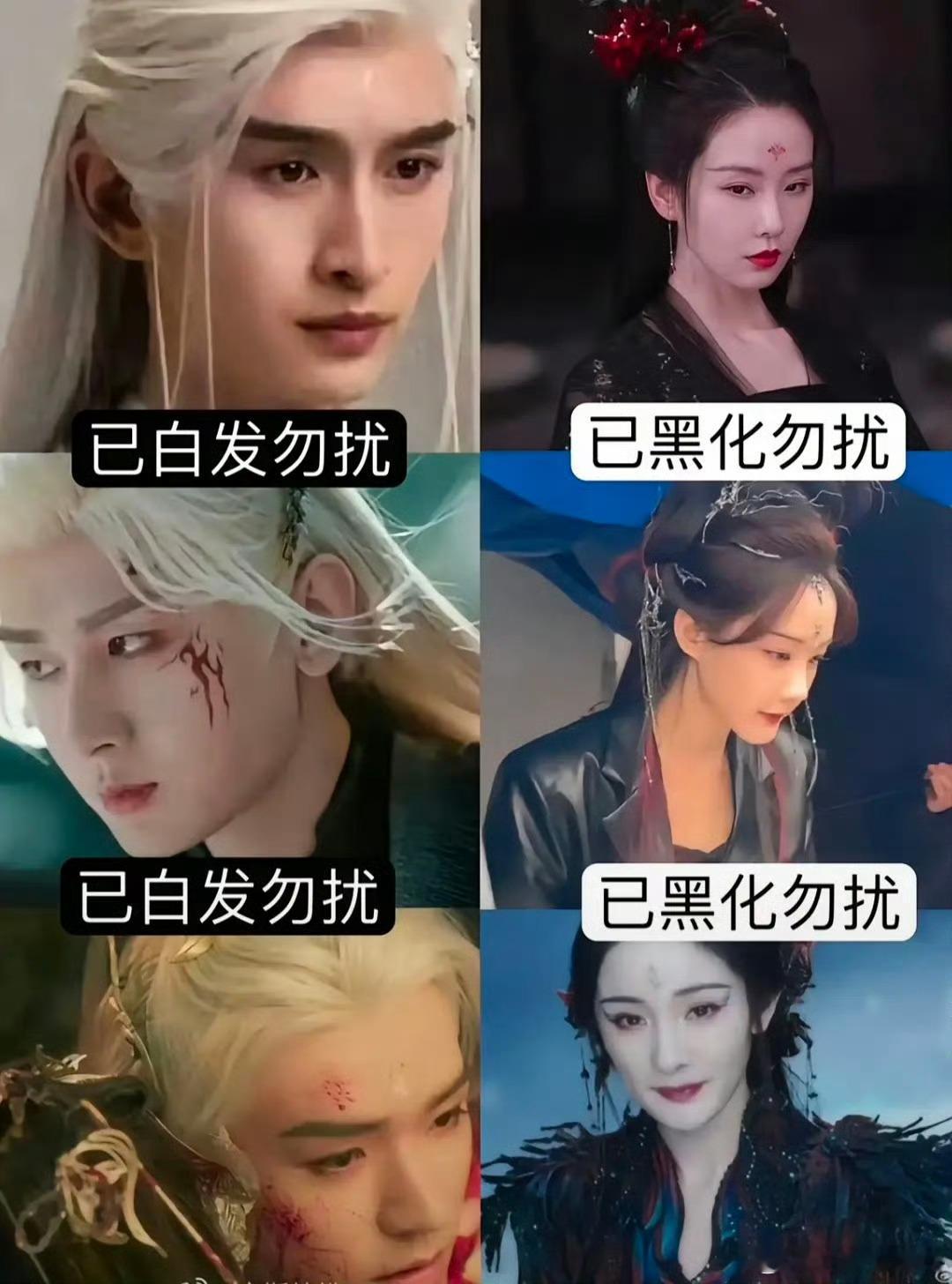 王一栩的狐妖小红娘三部曲男主【已白发】女主【已黑化】 ​​​