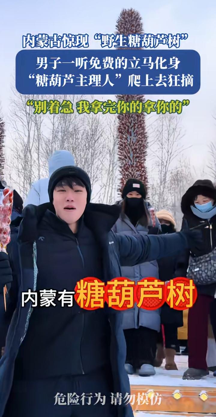 这谁能不喜欢？插满糖葫芦的“糖葫芦树”，小伙一开始是震惊糖葫芦树的壮观，听到是免