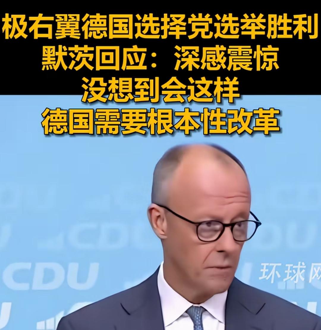 这届默茨，好无力，没有什么拿得出手的政策，整天一副苦大仇深，抱怨，但无作为。
也