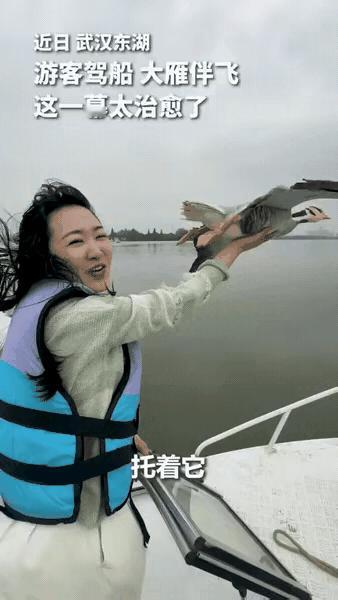 "没想到上人民日报了!"武汉，一女子驾船出海欣赏美景，突然飞来一群大雁和船并肩同