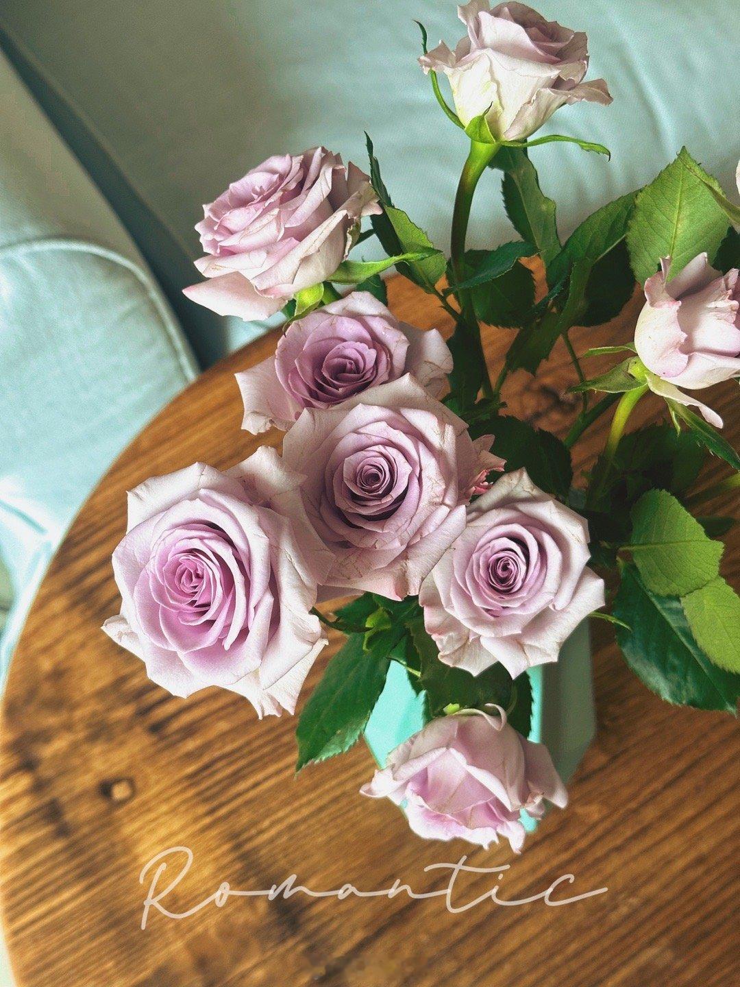 斗胆开始养花了！海芋植物很好养，不会养花，粗心忘性大的可以试试。水培更省心，春节