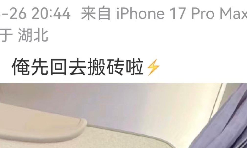 咋不同游黄鹤楼了我很失望 