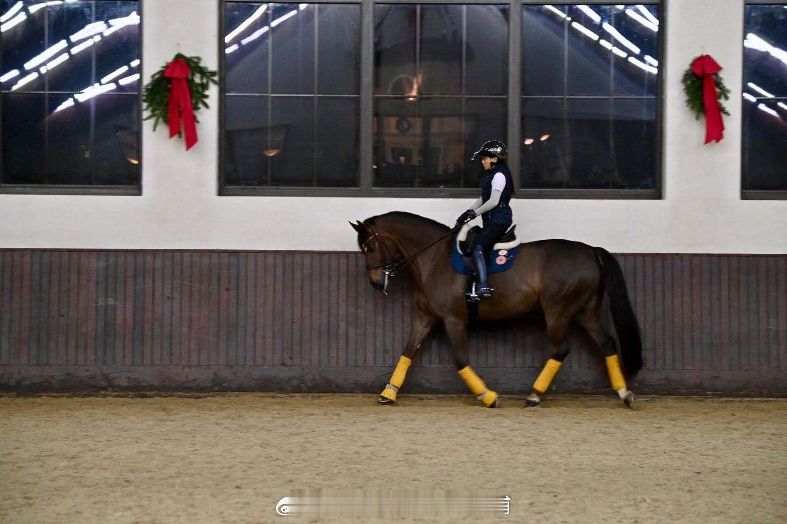 王室王室泰国王室镇宅 镇宅的马术训练。 