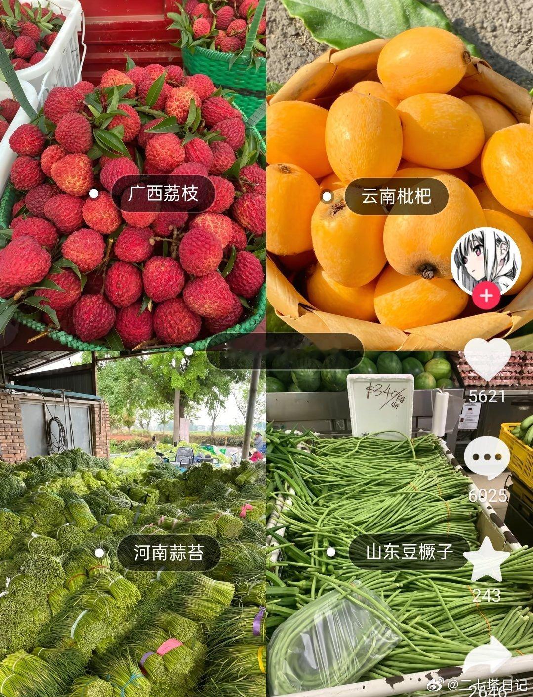原来各省都有自己的果蔬噩梦，河南蒜薹，山东豆角，广西荔枝，云南枇杷 
