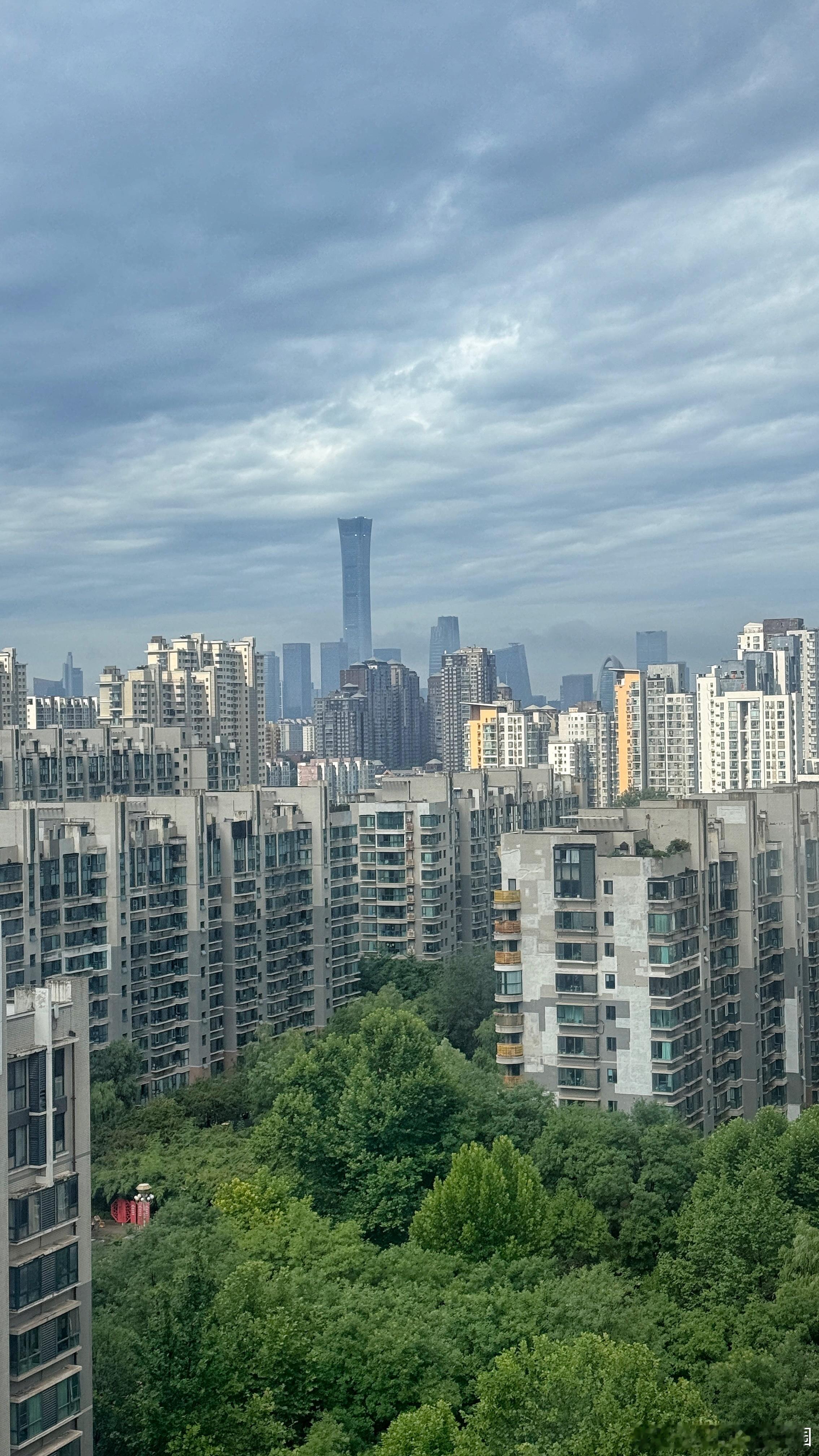 有了一点阳光 