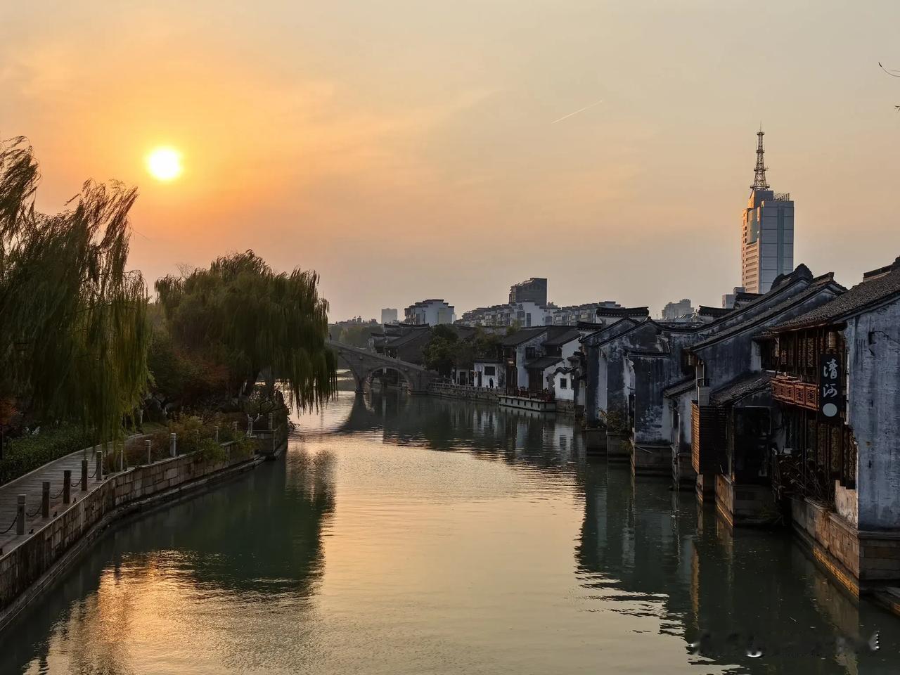 化悲愤为食量，好久没这么丢三落四了[流泪]第一次来嘉兴，赶在树叶🍃掉光前，来感