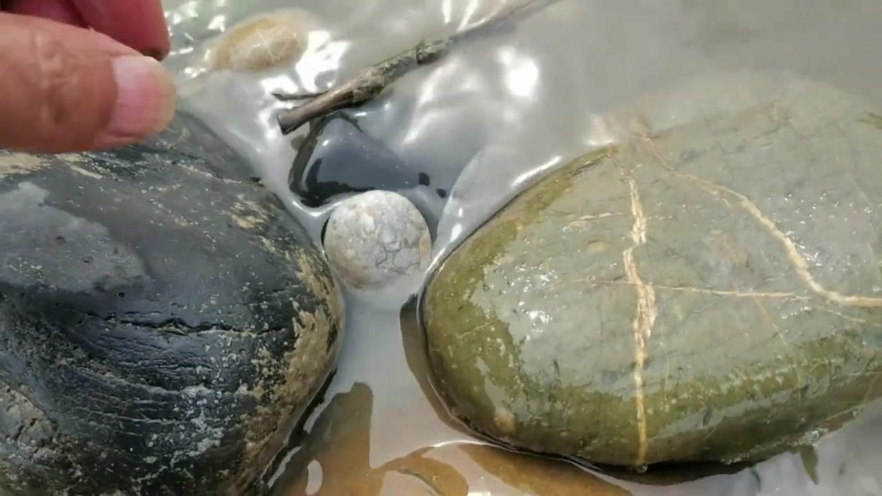 汉江涨水冲出来的石头真有意思，随便一抠就能发现带图案的小家伙，圆润的形状配上神秘