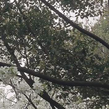 路过求善善，晚点回访指定带🔗 