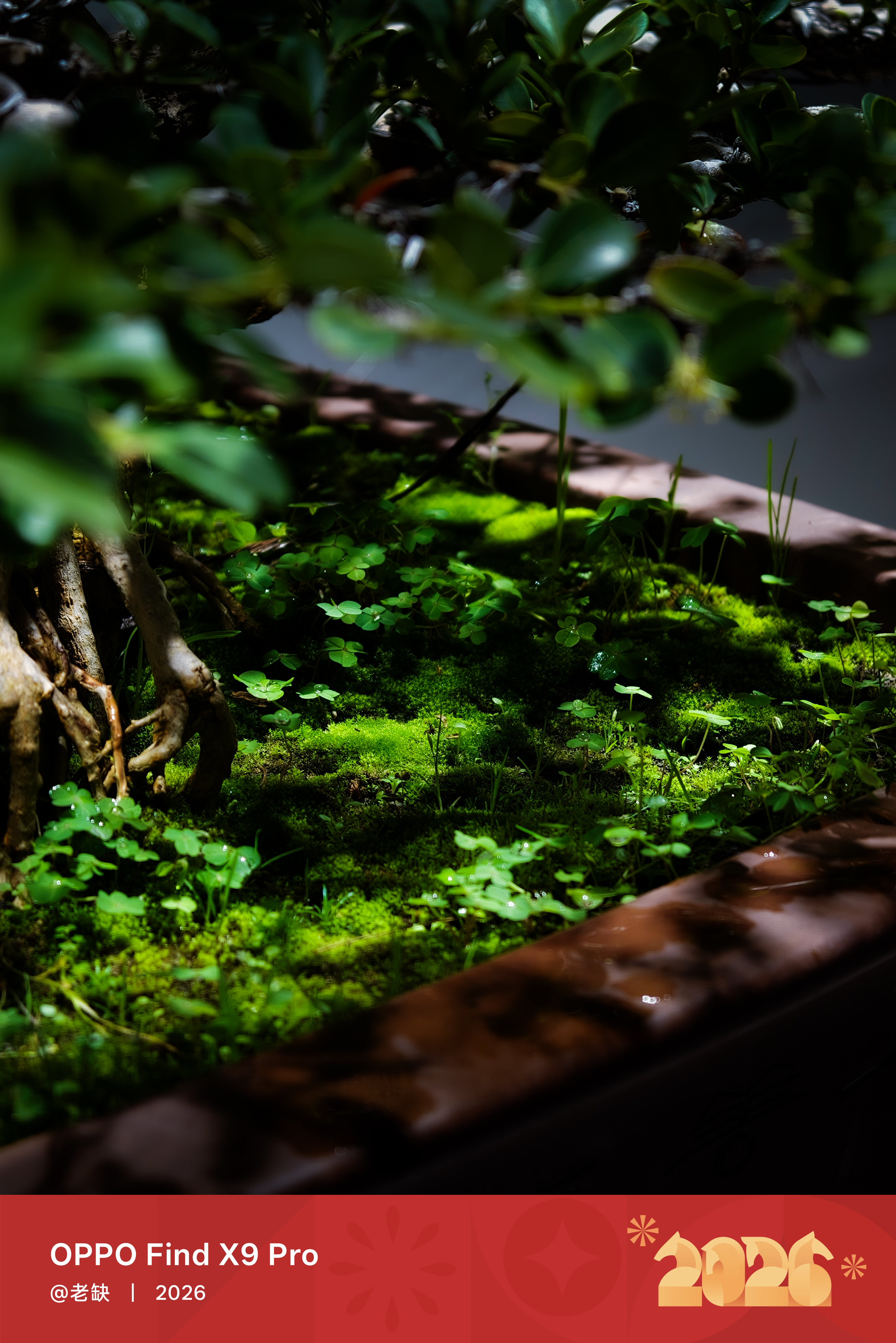 买了个桌子，等了三天没给我发货。。。气死我了 