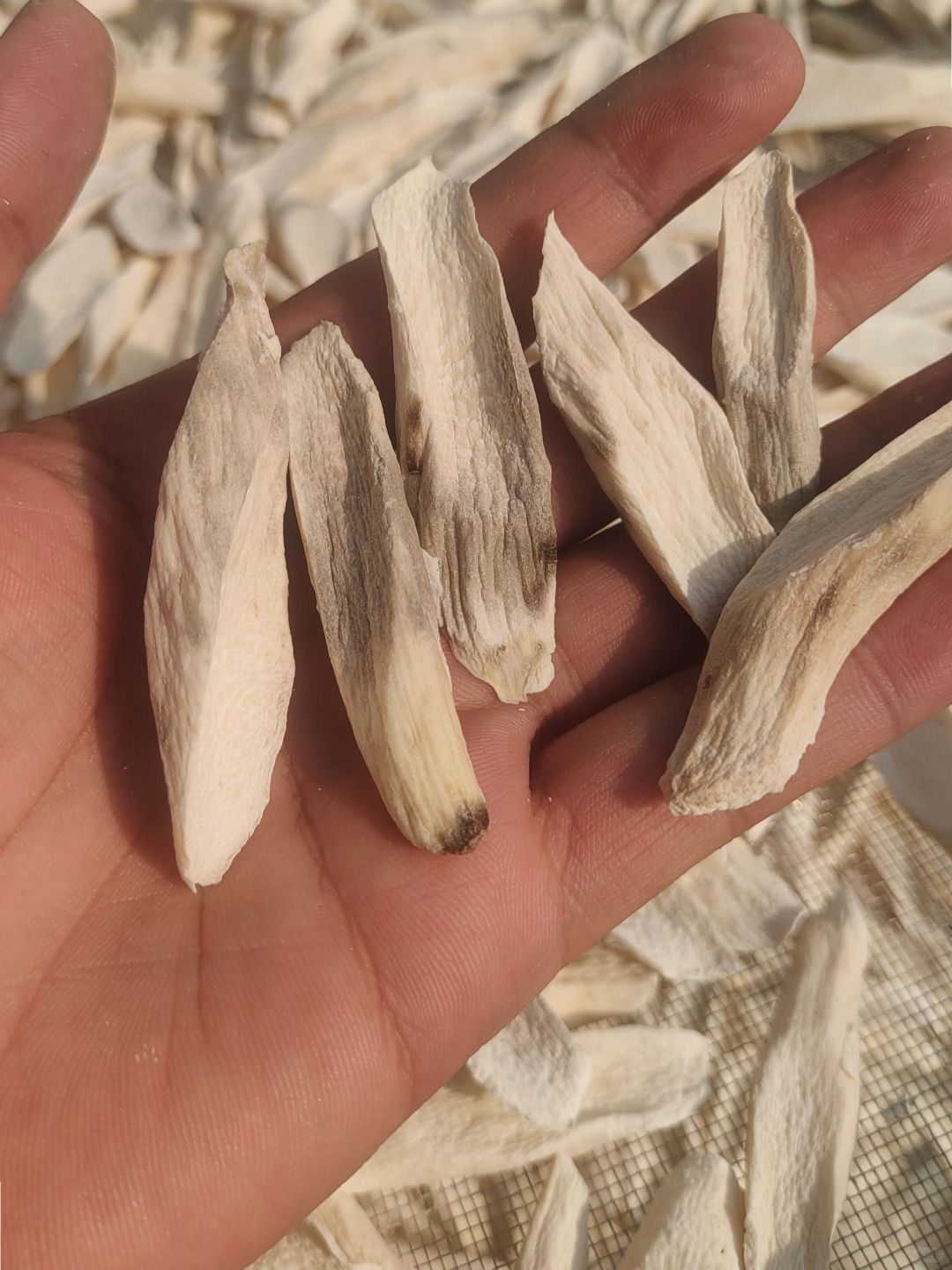 这怀山药片发霉了！半夜吓我一跳！