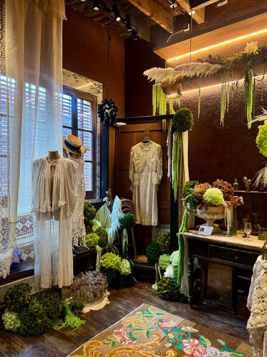 魔都好逛｜复合古董店✨高审美得到具象话