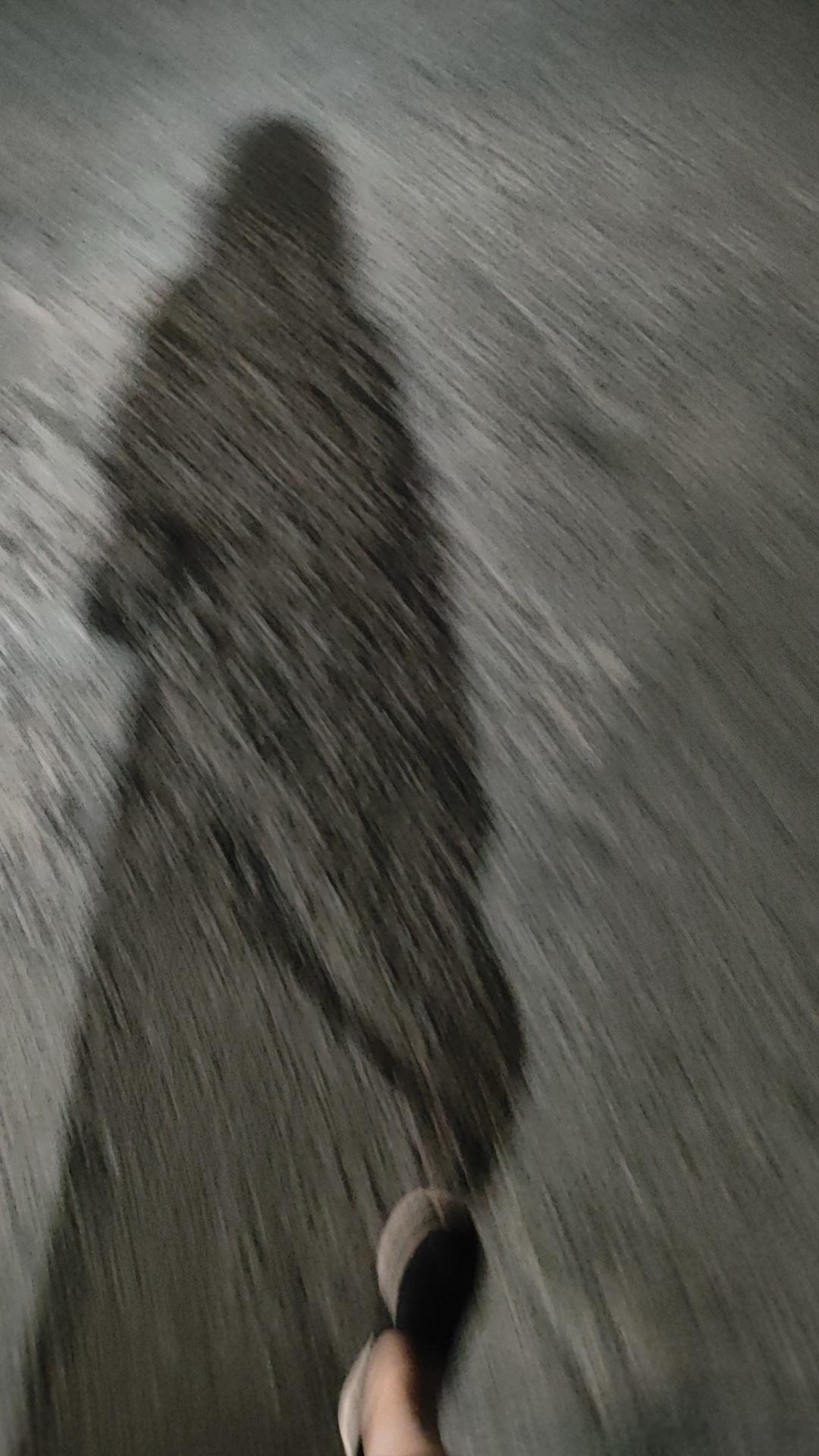 新疆夏天的夜晚本应该是凉风习习好热 