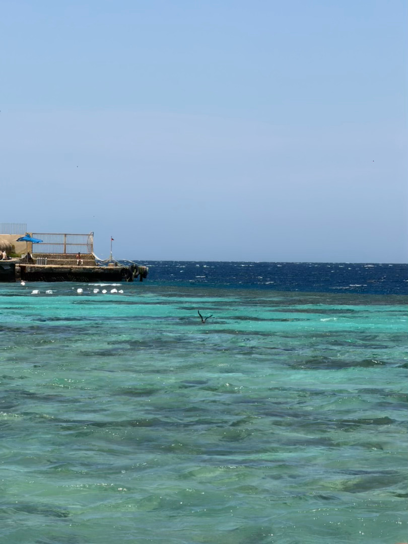 对着这海景，就算是吃着难吃的烤鱼也能躺多一天 埃及·阿拉伯海岸度假酒店(Arab