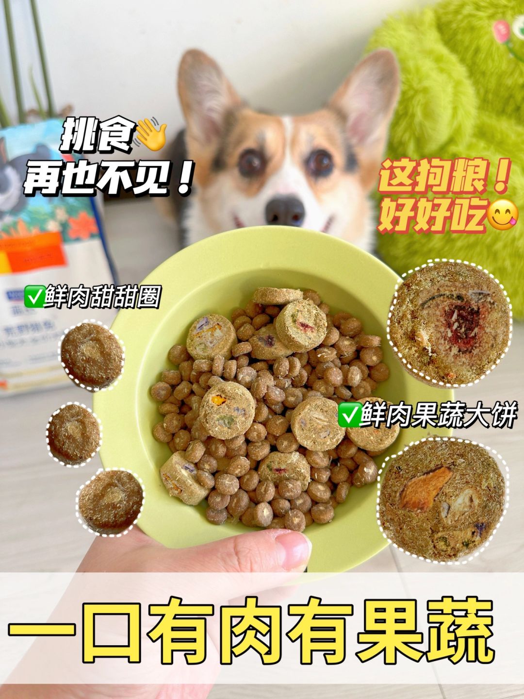 7年养狗人怒回购！靠谱国产狗粮在这！