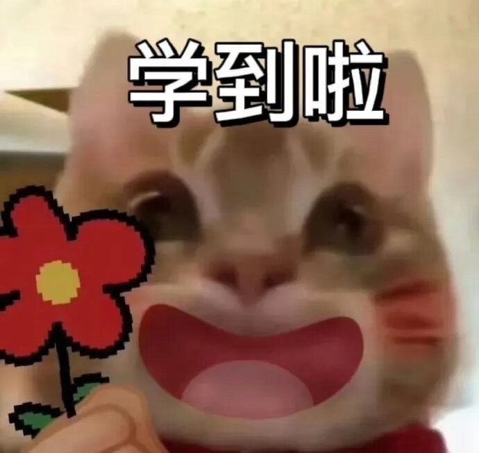 发现三角梅准备复花，但是枝条徒长。学习了一早上修剪技巧，奇奇怪怪的知识又增加了?