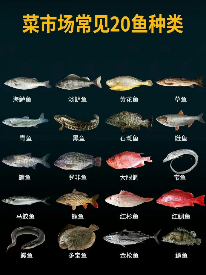 菜市场的鱼，吃前先认识一下。 