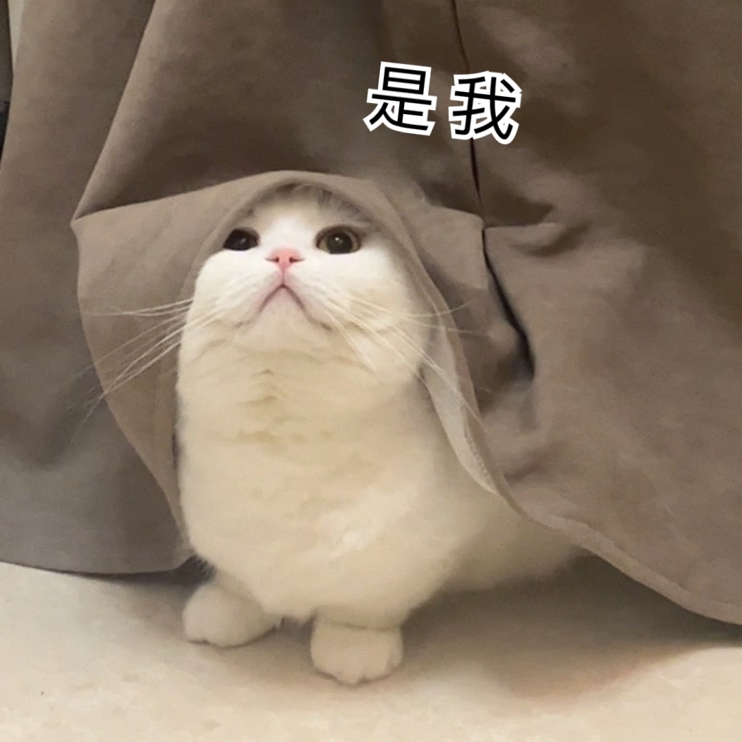 宝子们，我改名字啦～原的新粉老粉们不要认错喽！由于原来的名字常被误认为是一位科普