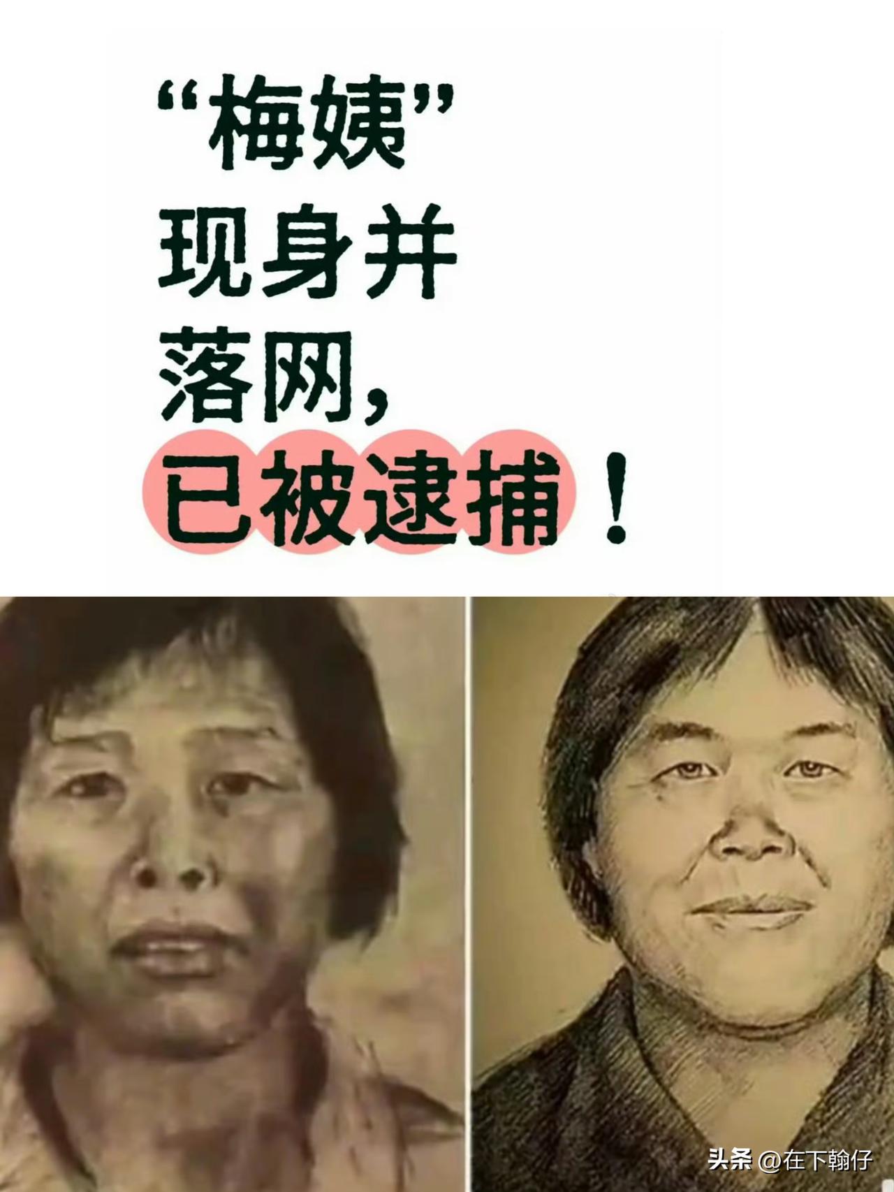当然应该是死刑。“梅姨”案终于破获，“梅姨”谢某某落网，大快人心。20多年前9名