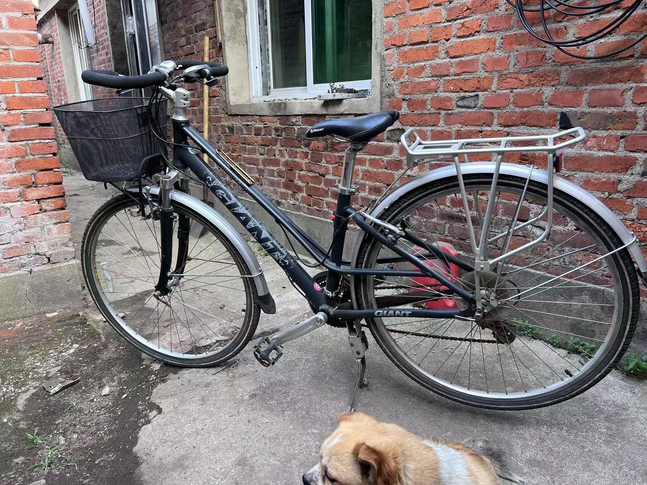 长途旅行车，捷安特3300，全铝车，很轻。