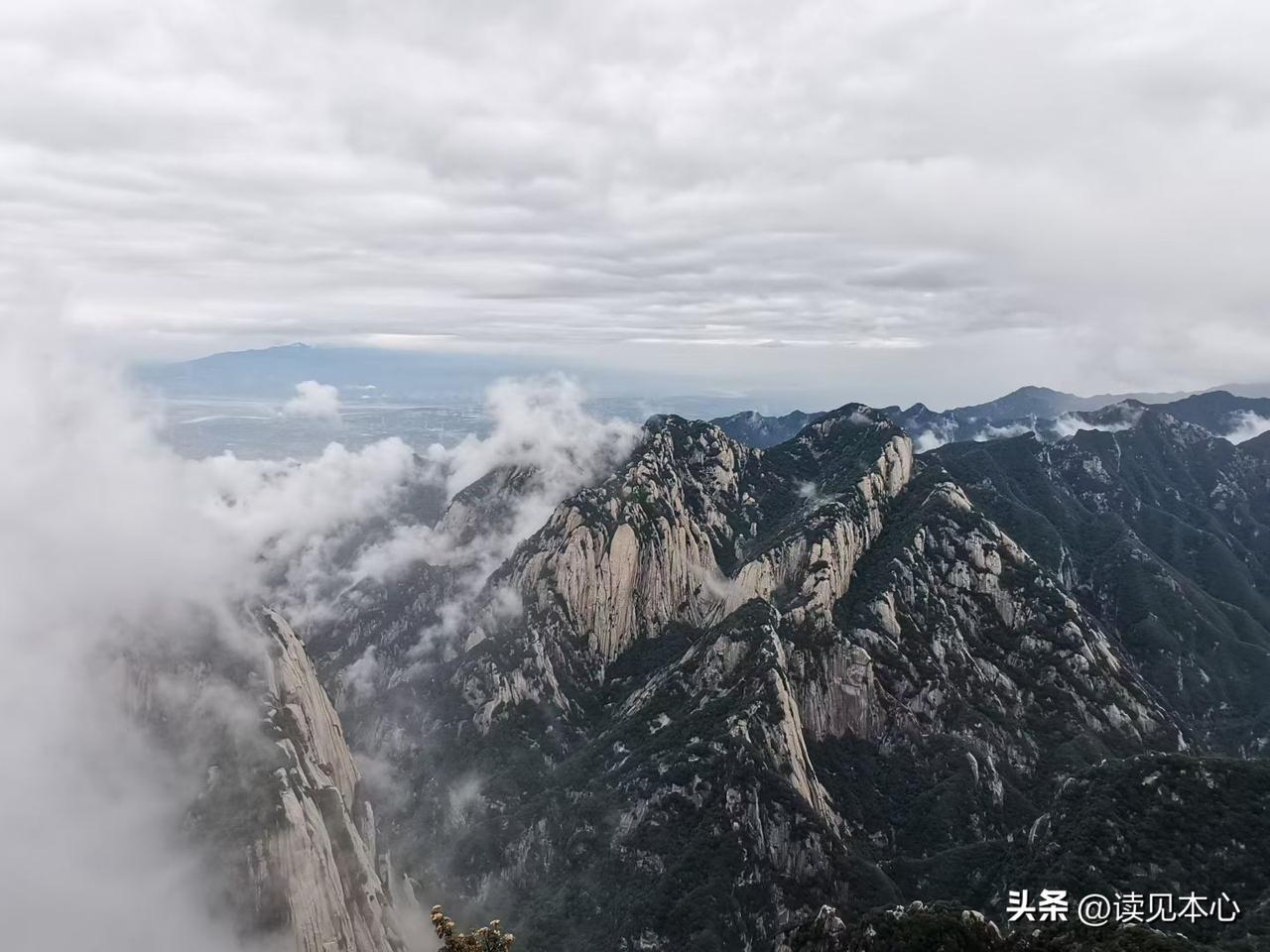 道家有句狠话，
叫“母根一寸，子魂三丈”
你以为男孩的胆识是教出来的？错！99%