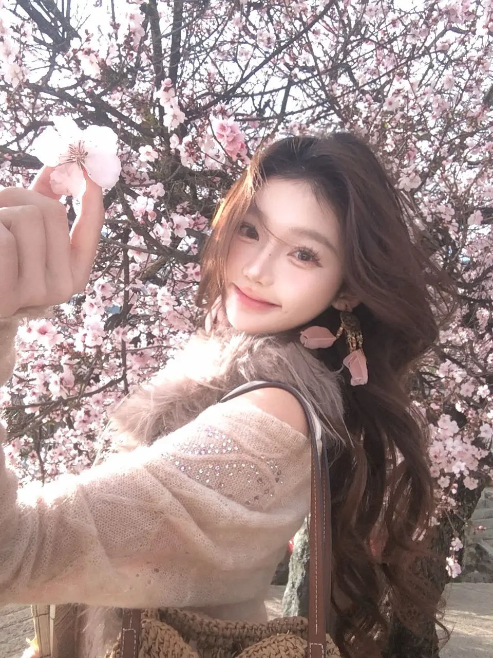 我的樱花在第一次见你的时候就开了