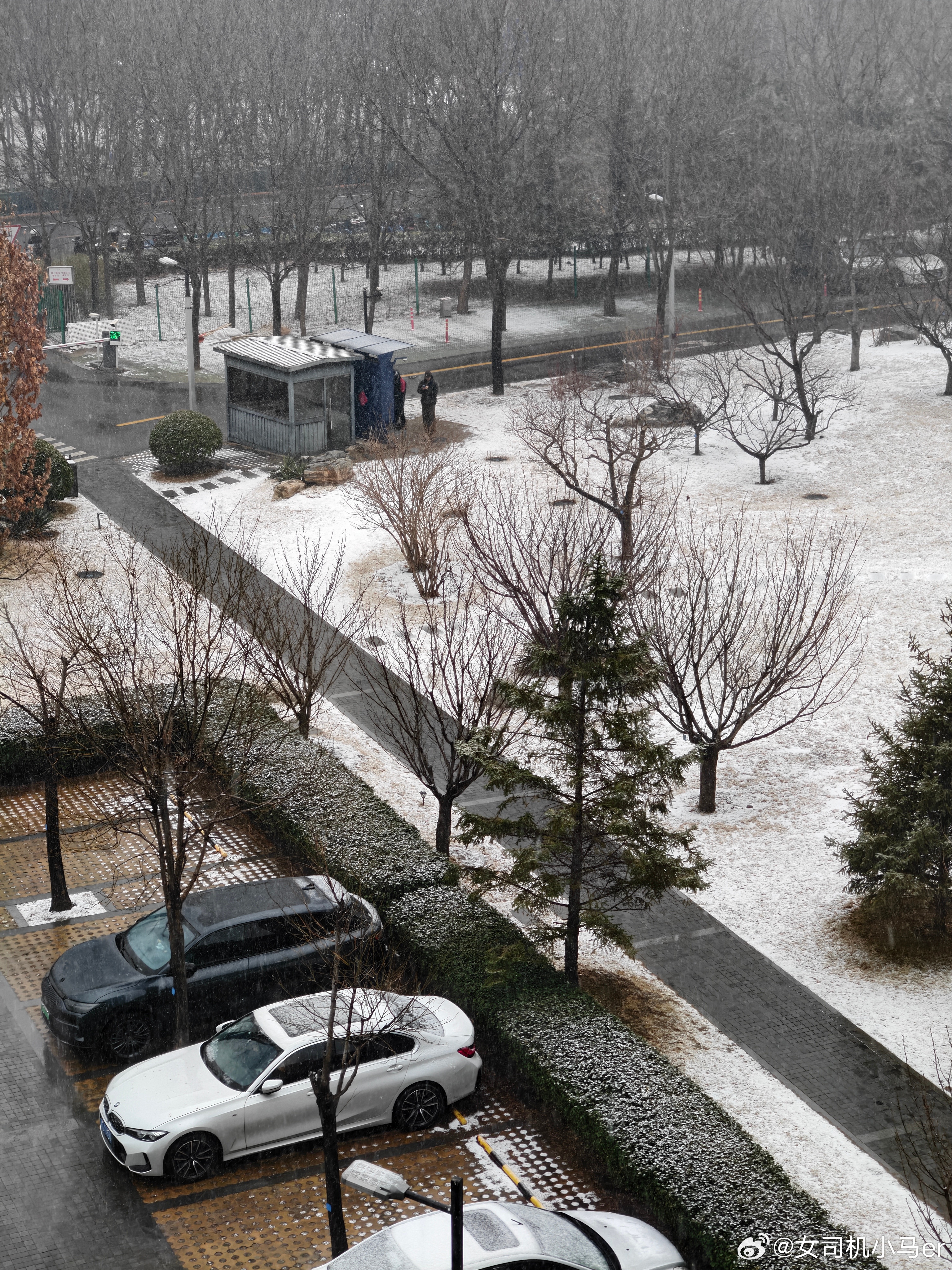 北京下雪今天是休闲看雪马楼下已经有积雪啦你们那天气怎么样？ 北京