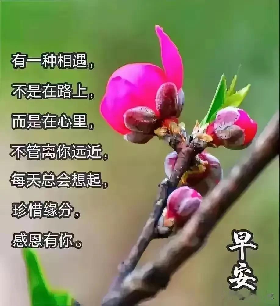 首先，搞清楚“就近入学”和“学区房”的关系！
就近入学和学区房的关系是紧密且复杂