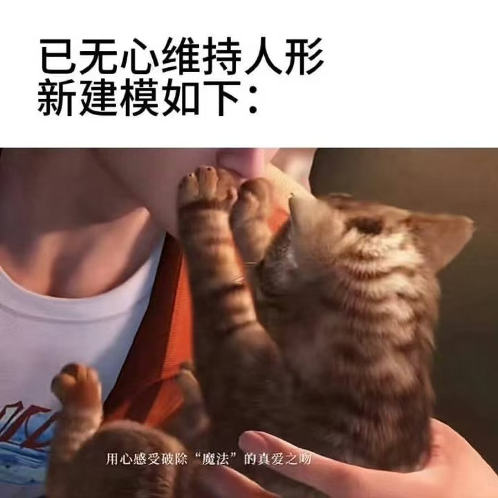 对啊对啊 我就是秦彻的猫🐱好幸福好幸福我怎么变成秦彻的猫了｜秦彻爱猫及喵