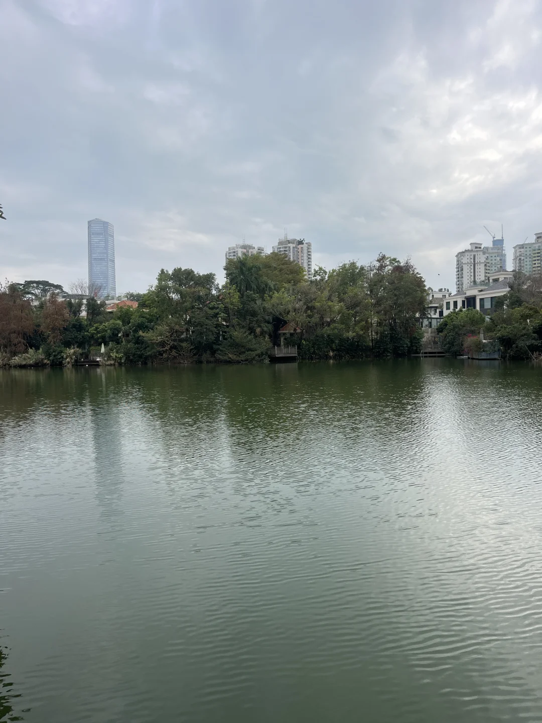 纯水岸临湖的别墅为什么让人着迷？