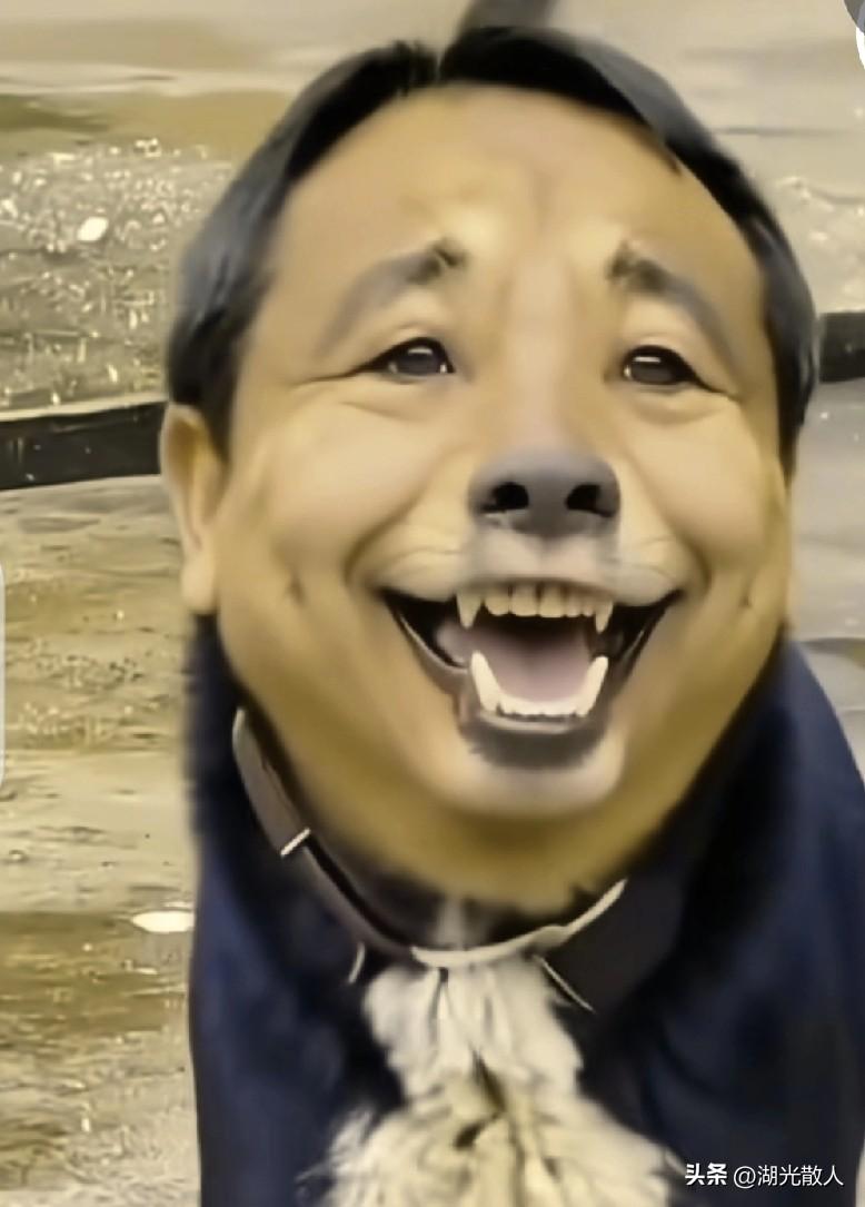 网友真的是超级有才呀。
我用万字的文章也表达不出他一分钟的视频内容。
爱憎分明。