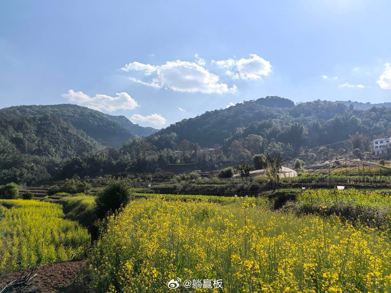 你是不是觉得伊朗很弱，不堪一击？毕竟美国和以色列可能就是这么宣传的，所以很多人也