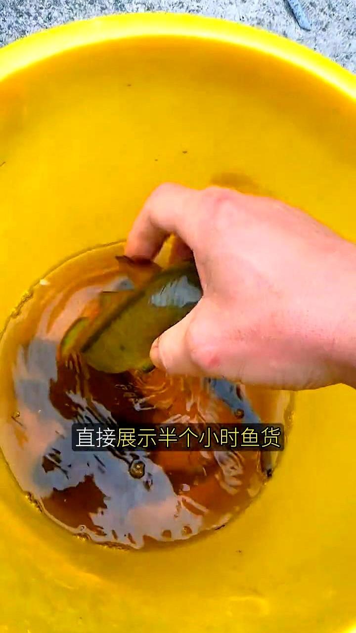 广西桂平这地方，真是个宝藏！

一个叫“空军佬”的本地老哥，在师部路桂兴饼厂那座